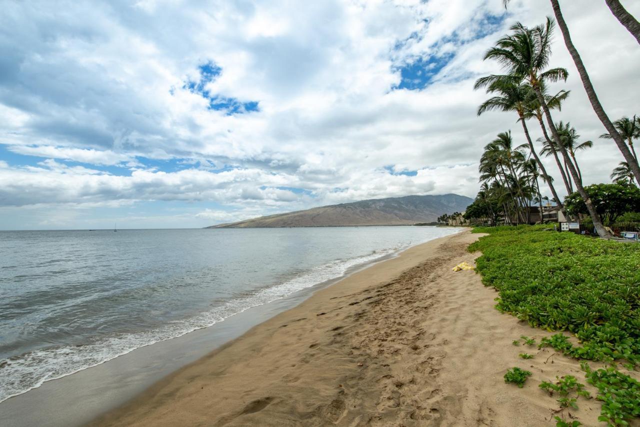 Kihei Beach 508 Eksteriør bilde